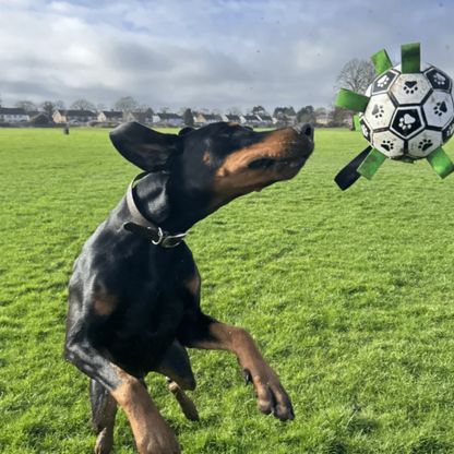 Chewie™ Dog Ball